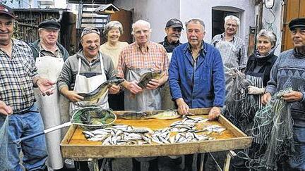 Fischer bei der Arbeit: Das Putzen der Meefischli nimmt viel Zeit in Anspruch. Viele Hände helfen mit, um die Spezialität für den Randersacker Fischmarkt vorzubereiten.