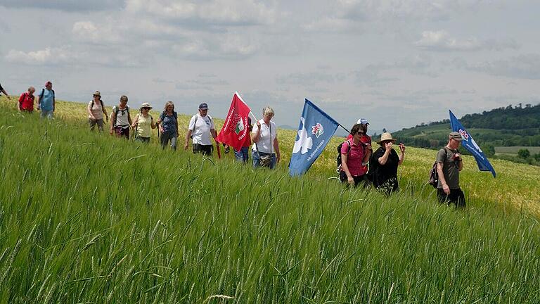 Die Haßfurter Ortsgruppe der Naturfreunde organisiert vier Etappen der diesjährigen Friedenswanderung von Straßburg nach Theresienstadt. Vom 31. Mai bis 3. Juni führt die Tour durch den Landkreis. Das Bild stammt von der Friedenswanderung 2021 der Naturfreunde Frankenthal.