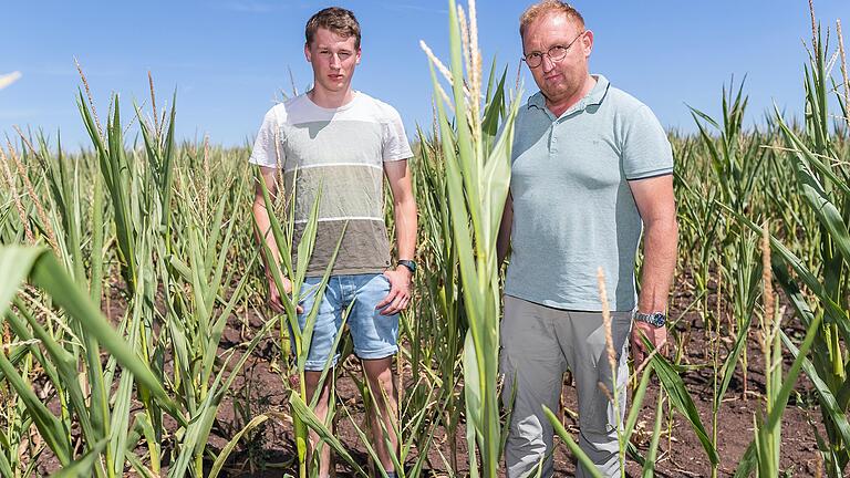 Ihr Mais sei heuer ein 'Totalausfall', sagen Landwirt Thomas Eschenbach und sein Sohn Sebastian. Ihr Mais sei heuer ein 'Totalausfall', sagen Landwirt Thomas Eschenbach und sein Sohn Sebastian.