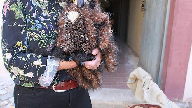 Bei den Kinderführungen darf das Maskottchen nicht fehlen.
