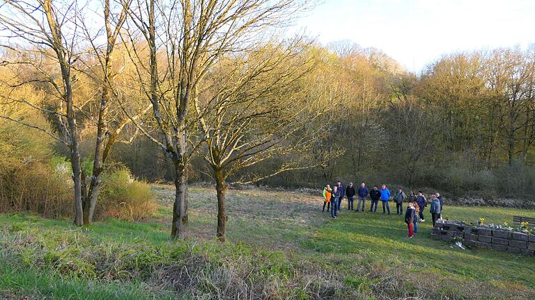 Baumbestattungen werden in Zukunft auf dem Gädheimer Friedhof möglich sein. Darunter auf der Wiese sollen Stelen mit  Gedenktafeln errichtete werden.