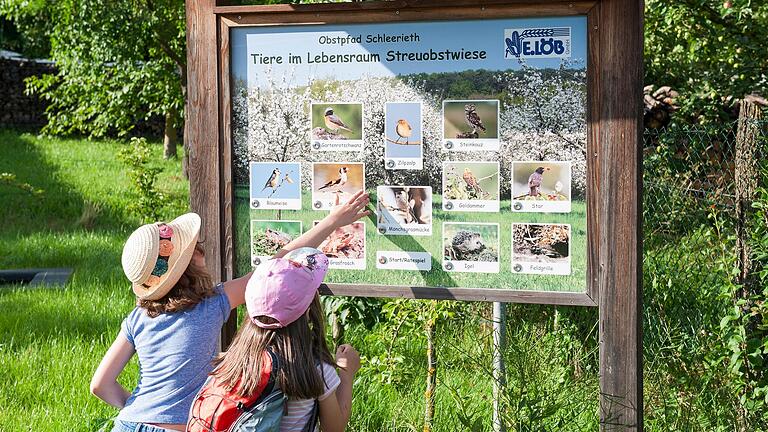 Auf zahlreichen bunten Tafeln können Kinder auf dem Obstlehrpfad Schleerieth alles über heimisches Obst und Tiere lernen.&nbsp;&nbsp;