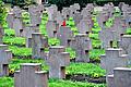 Kriegsgräberfeld       -  Ein Kriegsgräberfeld, aufgenommen auf dem Hauptfriedhof Karlsruhe (Baden-Württemberg). Am Volkstrauertag an diesem Sonntag wird traditionell der Millionen Toten beider Weltkriege und der Opfer des Nationalsozialismus gedacht.