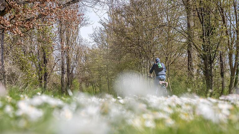 Der Werratal-Radweg (Symbolfoto) soll auf dem Abschnitt zwischen Meiningen und Schwallungen ausgebaut werden.