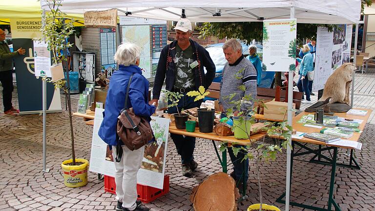 Klimatag in Hammelburg am 14.09.2024 - Klimatag in Hammelburg: Informationen rund um den Wald gab es vom Bund Naturschutz. Klimatag in Hammelburg am 14.09.2024 - Klimatag in Hammelburg: Informationen rund um den Wald gab es vom Bund Naturschutz.