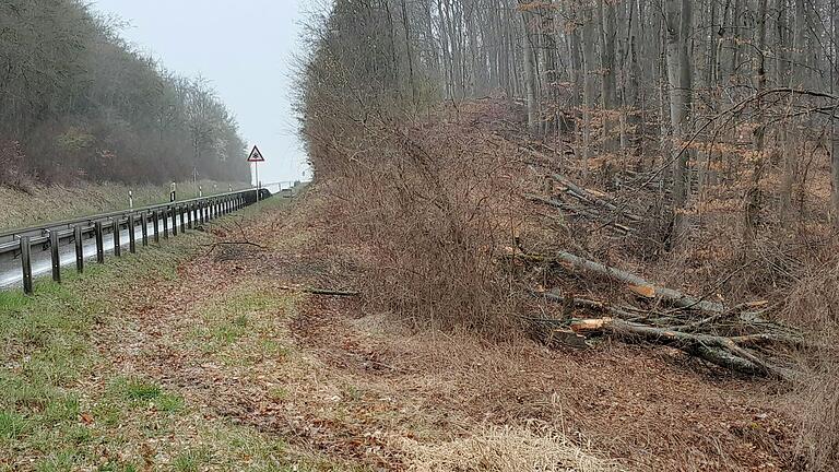 Die gefällten Bäume liegen am Straßenrand zwischen Rimpar und Güntersleben.