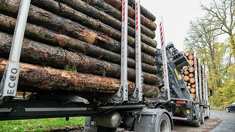 Mit großen Maschinen - ähnlich wie dieser - müssen Holzdiebe ganze Buchenstämme aus dem Forst geholt haben - im Frühjahr in den Haßbergen, im Herbst im Spessart.&nbsp;&nbsp;