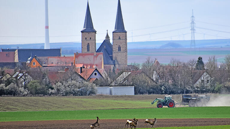 Gerolzhofen ist eine 'agile und mutige Kleinstadt im ländlichen Raum'. Das hat sich der Stadtrat nach jahrelanger Beratung als Überschrift für ein Leitbild gegeben. Gerolzhofen ist eine 'agile und mutige Kleinstadt im ländlichen Raum'. Das hat sich der Stadtrat nach jahrelanger Beratung als Überschrift für ein Leitbild gegeben.