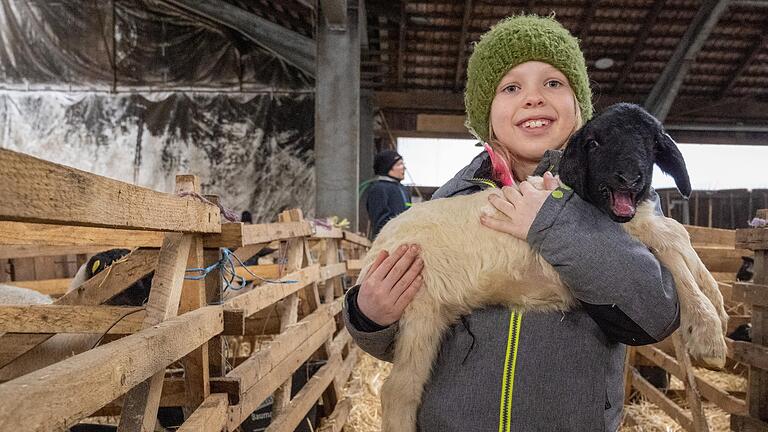 Es ist für die siebenjährige Klara aus Bad Neustadt das Highlight des VHS-Kurses 'Naturgeburtstage bei den Schafen'. Sie darf ein Lamm halten und kuscheln.