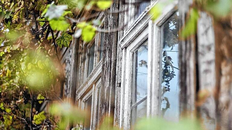 Ein altes Fenster an einem Haus in Trennfeld, umrankt von frischem Grün. Vergangenheit und Zukunft gehen im Dorf Hand in Hand.