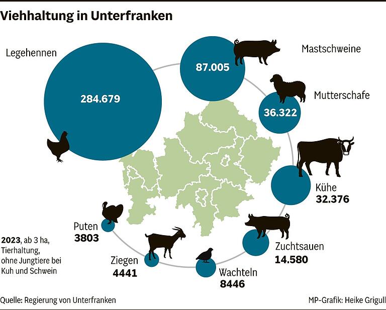 Kaum noch Schweine im Stall: Warum geben in Unterfranken immer mehr Landwirte die Nutztierhaltung auf, Herr Lukas?