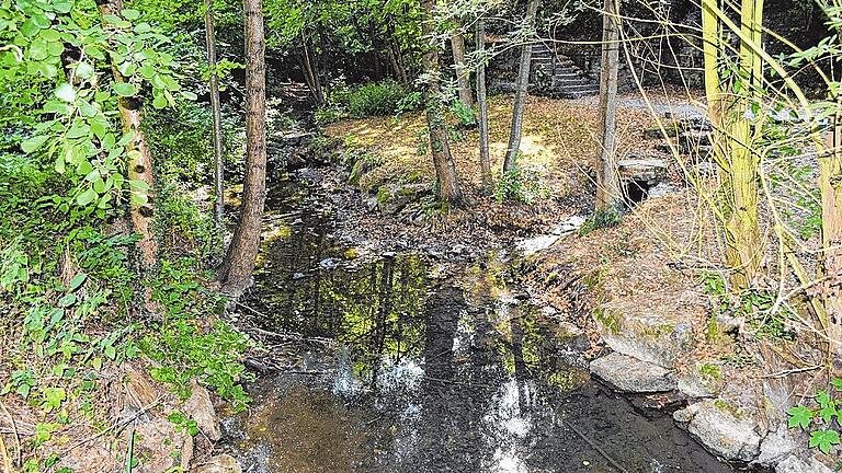 Etwas Wasser fließt noch aus der Teufelsquelle (rechts) in den Mahlbach.