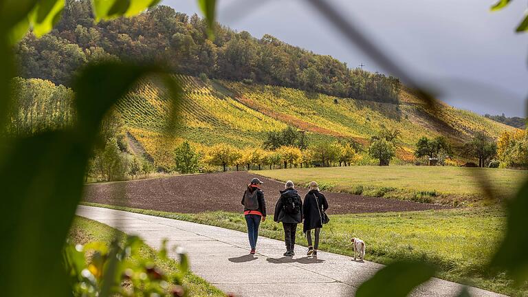 Unterwegs auf der TraumRunde Hüttenheim-Seinsheim im Kitzinger Land:&nbsp; Hier am Wanderparkplatz am Ortsrand von Hüttenheim mit Blick auf den Tannenberg.&nbsp;