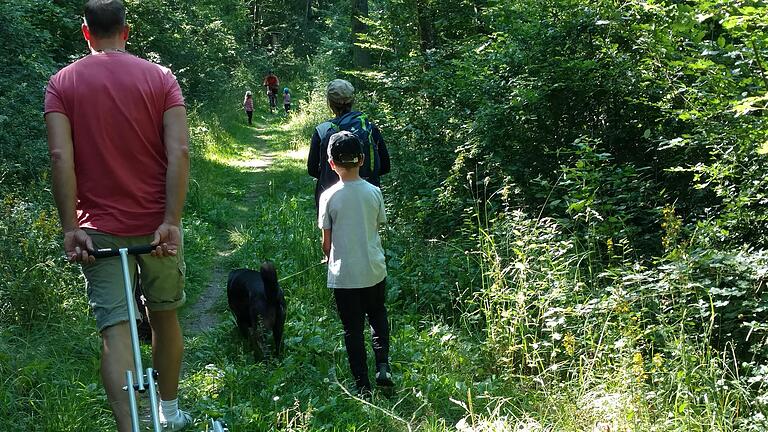 Der Weg durch das Naturreservat Wolfsee ist auch mit dem Bollerwagen zu schaffen. Der Weg durch das Naturreservat Wolfsee ist auch mit dem Bollerwagen zu schaffen.