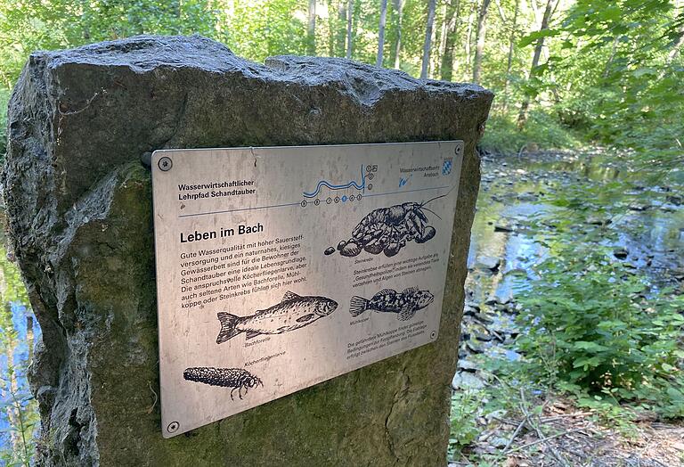 Solche Tafeln zur Gewässerkunde sind im Tal der Schandtauber zu finden. Solche Tafeln zur Gewässerkunde sind im Tal der Schandtauber zu finden.