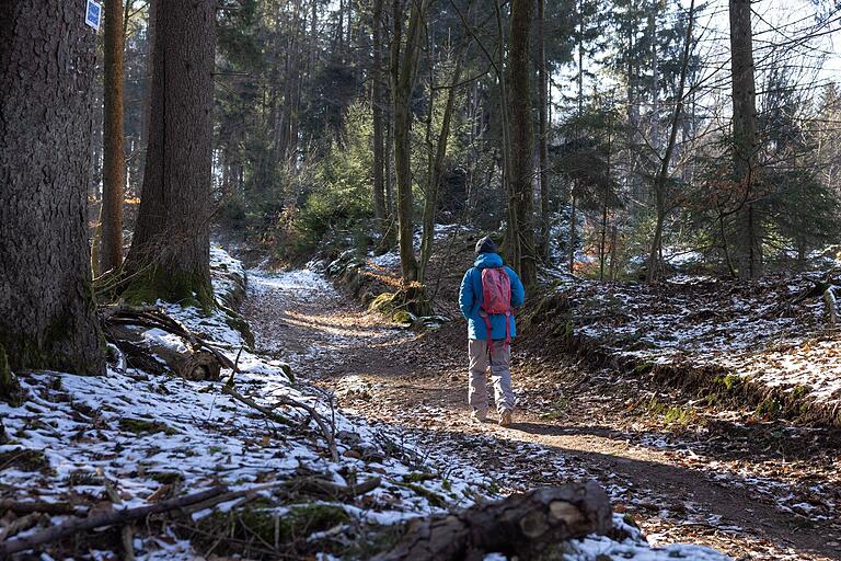 Auf naturnahen Pfaden geht's auch ein Stück mitten durch den Wald. Auf naturnahen Pfaden geht's auch ein Stück mitten durch den Wald.