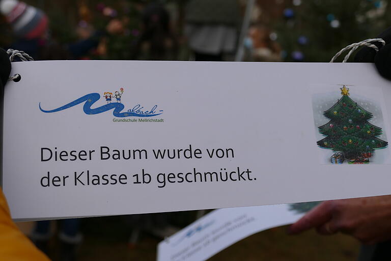 Jeder Baum wurde mit einem solchen Schild gekennzeichnet, damit die Schüler „ihren“ Baum auch wiedererkennen Jeder Baum wurde mit einem solchen Schild gekennzeichnet, damit die Schüler „ihren“ Baum auch wiedererkennen