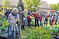 Da fällt die Wahl schwer: Ein großes Sortiment an Jungpflanzen erwartete die Gartenfreunde beim Kräutertag.