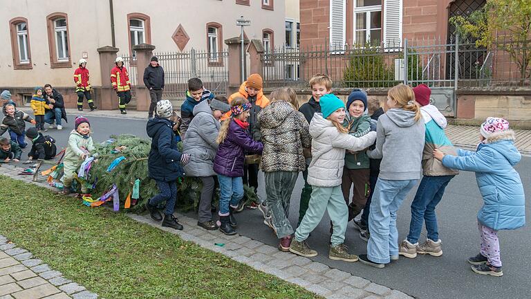 Sobald der Gössenheimer 'Zachäus-Baum' mit einem lauten Krach auf die Straße aufschlägt spurten die Kinder der beiden Dorfhälften los, um die 'Trophäe' auf ihre jeweilige Seite zu ziehen.