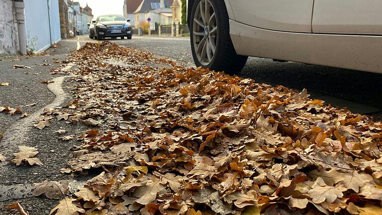 Im Herbst fallen die Blätter und landen als Laub auf den Wegen und Straßen, wie hier in Gerolzhofen. Wofür bin ich als Anwohner verantwortlich? Im Herbst fallen die Blätter und landen als Laub auf den Wegen und Straßen, wie hier in Gerolzhofen. Wofür bin ich als Anwohner verantwortlich?