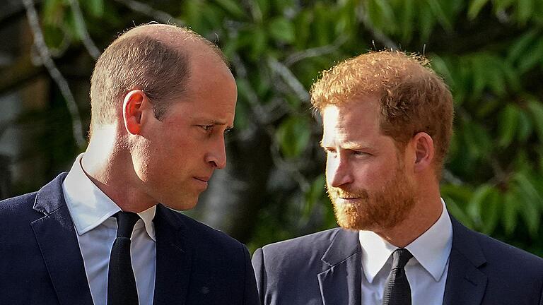 Prinz William und Prinz Harry.jpeg       -  Prinz William und sein jüngerer Bruder, Prinz Harry. Die beiden Königssöhne gelten seit Harrys Abkehr von den royalen Pflichten als entfremdet.