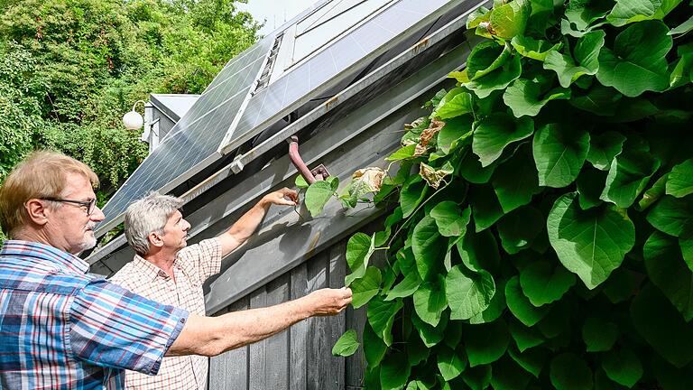 Wie müssen Häuser gebaut oder saniert werden, damit die Raumtemperatur auch in Hitzephasen erträglich bleibt? Architekt Hans Bieberstein (links) und Biologe Steffen Jodl vom Bund Naturschutz in Würzburg geben Antworten.