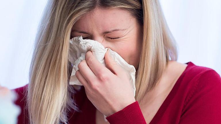 Heuschnupfen ohne Ende? Dann handelt es sich womöglich gar nicht um eine Pollenallergie. Foto: Christin Klose/dpa-tmn       -  Wer allergisch auf Hunde reagiert, hat meist mit Niesen und starkem Schnupfen zu kämpfen.