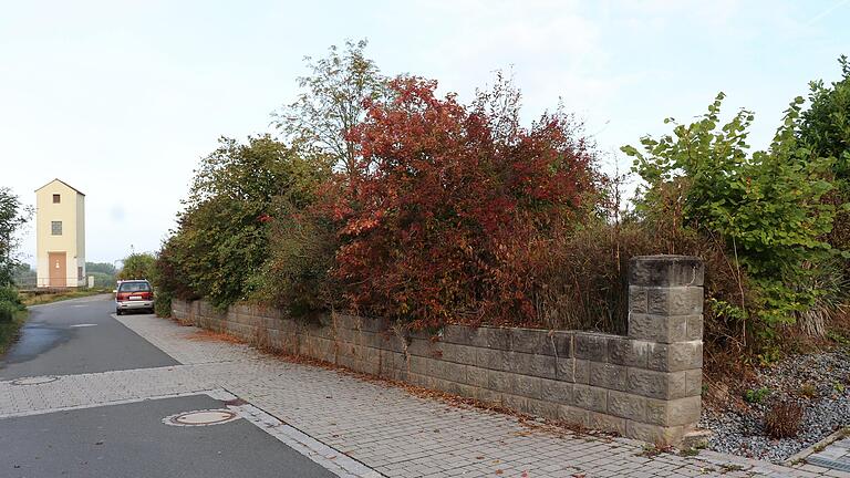 Gut getarnt versteckt sich hinter mächtigem Buschwerk das brachliegende Grundstück Schlesienstraße 46, das jetzt bebaut werden soll.