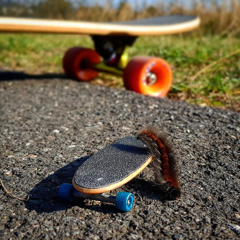 Gewinnerfoto: 'Longboarden mit Freunden' von Christian Nolte.