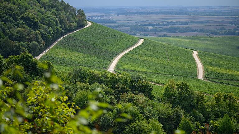 Weinberge säumen den Fuß des Schwanbergs im Landkreis Kitzingen. Schon auf halber Höhe ist die Aussicht beeindruckend.