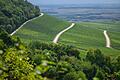 Weinberge säumen den Fuß des Schwanbergs im Landkreis Kitzingen. Schon auf halber Höhe ist die Aussicht beeindruckend.