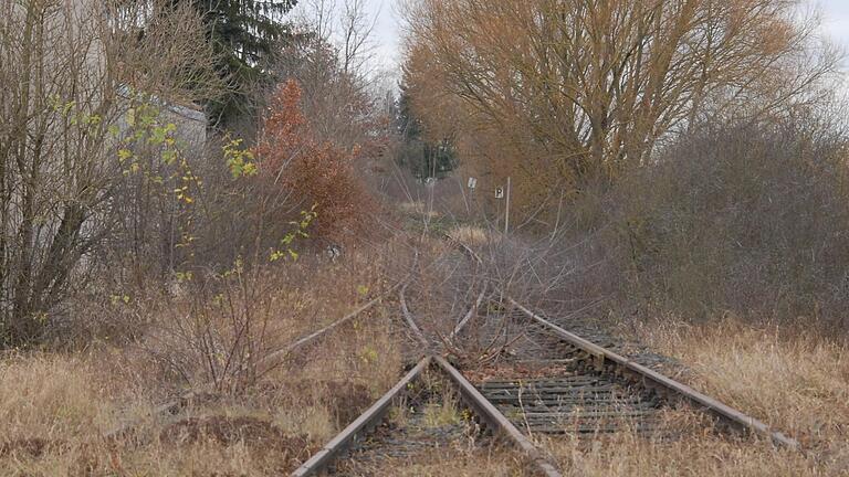 Die Steigerwaldbahn, im Bild die Trasse bei Großlangheim (Lkr. Kitzingen), liegt bereits seit Jahrzehnten im Dornröschenschlaf.