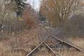 Die Steigerwaldbahn, im Bild die Trasse bei Großlangheim (Lkr. Kitzingen), liegt bereits seit Jahrzehnten im Dornröschenschlaf.