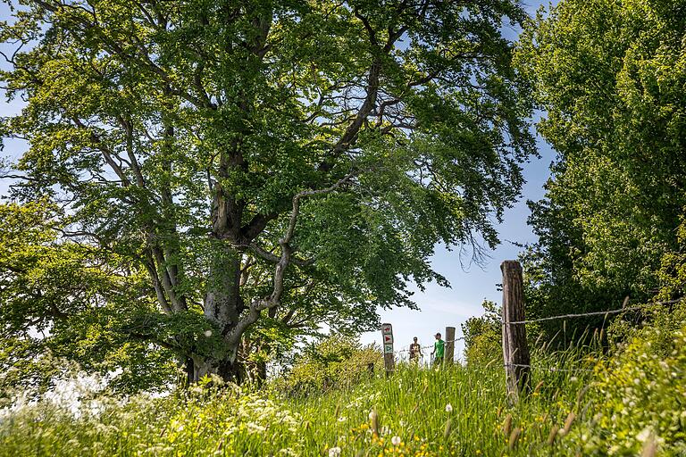 &nbsp;'Der Hilderser' begeistert mit einer wunderbar abwechslungsreichen Naturlandschaft durch Wälder, Schluchten und Höhen.