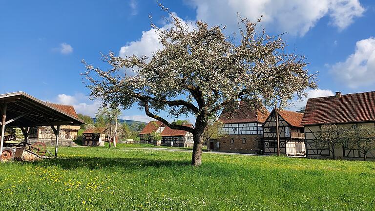 Frühling im Freigelände: Im Fränkischen Freilandmuseum in Fladungen wird blühend Ostern gefeiert.