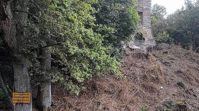 Sehenswert und gute Ausschicht: Die Ruine Speckfeld ist nach einem kurzen Anstieg erreicht. Die Geschichte gibt es auf einer Infotafel.