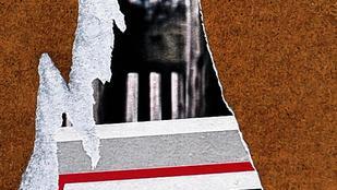 Rechtsextreme Propaganda: Ein zerrissenes Wahlplakat der NPD hängt an einem Laternenmast. Die Länder prüfen derzeit einen neuen Anlauf für ein Verbotsverfahren.