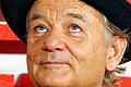 Bill Murray wird 65       -  Bill Murray