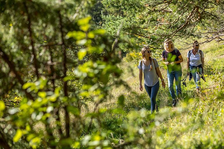 Die Wanderung führt über und entlang des Münnerstädter Hausberges durch wunderbare Natur.&nbsp;