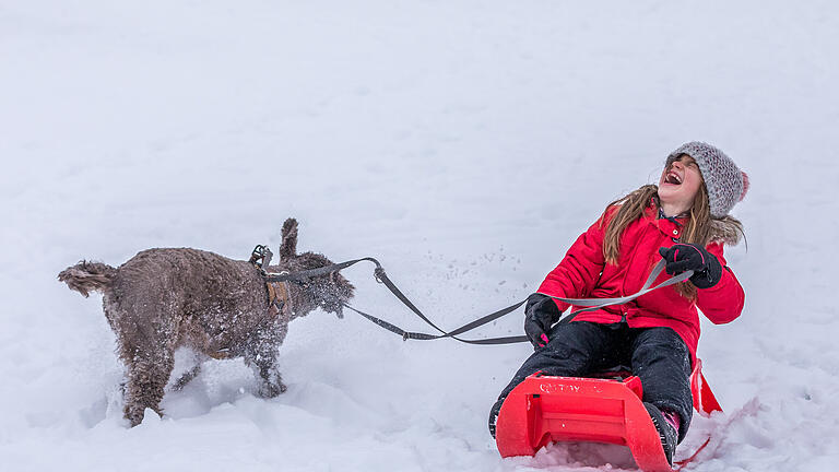 Schnee in der Rhön       -  Zahlreiche Ausflügler zieht es am Samstag (21.01.23) bei winterlichen Temperaturen zum Rodeln und Ski fahren an den  Kreuzberg .