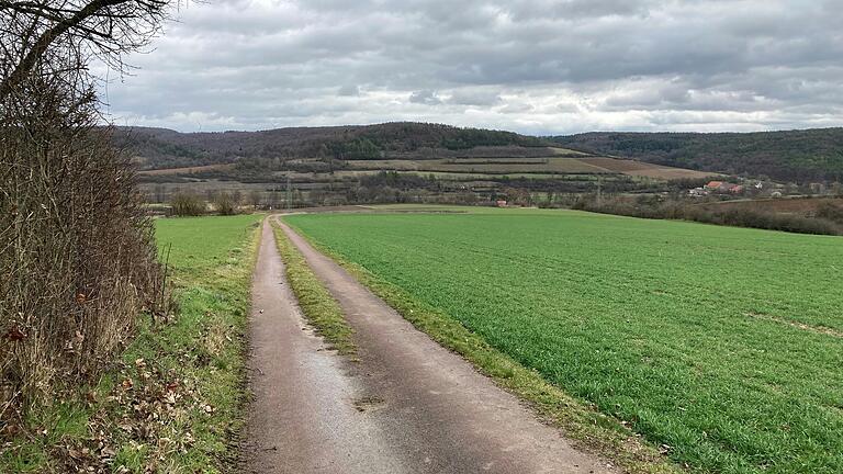 Blick vom Karlstadter Saupurzel auf die Hermannsleite. Zwischen Schönarts (rechts im Bild) und Heßlar würde der Tunnel für die B26n gebaut werden.