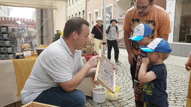 Stadtfest Bad Brückenau: Sparevent mit Stimmungshöhen       -  Die Leute vom Bad Brückenauer Imkerverein im engen Kontakt mit dem potenziellen Nachwuchs.