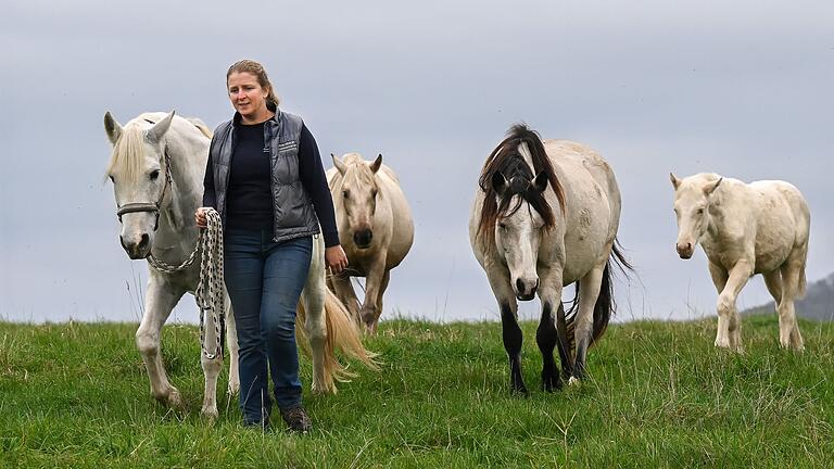 Auf dem Connemara-Gestüt in Vögnitz züchtet Familie Krämer die aus Irland stammende Pferderasse. Auf dem Connemara-Gestüt in Vögnitz züchtet Familie Krämer die aus Irland stammende Pferderasse.