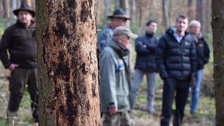 Aufgrund hohen Schadholzanfalls durch Hitze, Trockenheit und Borkenkäfer im vergangenen Jahr schlägt die Gemeinde Steinfeld in ihrem Wald heuer deutlich weniger Holz ein als bisher. Auf unserem Foto, das bei einem früheren Waldbegang des Gemeinderates entstand, ist eine stark vom Käfer befallene Fichte zu sehen. Aufgrund hohen Schadholzanfalls durch Hitze, Trockenheit und Borkenkäfer im vergangenen Jahr schlägt die Gemeinde Steinfeld in ihrem Wald heuer deutlich weniger Holz ein als bisher. Auf unserem Foto, das bei einem früheren Waldbegang des Gemeinderates entstand, ist eine stark vom Käfer befallene Fichte zu sehen.