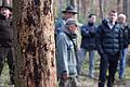 Aufgrund hohen Schadholzanfalls durch Hitze, Trockenheit und Borkenkäfer im vergangenen Jahr schlägt die Gemeinde Steinfeld in ihrem Wald heuer deutlich weniger Holz ein als bisher. Auf unserem Foto, das bei einem früheren Waldbegang des Gemeinderates entstand, ist eine stark vom Käfer befallene Fichte zu sehen.