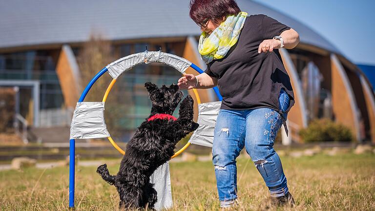 In Wildflecken ist ein Bauantrag für eine Hundetrainingshalle umstritten. In Wildflecken ist ein Bauantrag für eine Hundetrainingshalle umstritten.