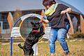 In Wildflecken ist ein Bauantrag für eine Hundetrainingshalle umstritten.