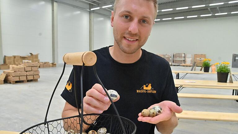 Betriebsinhaber Michael Volk sortiert in der neuen Logistikhalle des Wachtellandes die ersten Wachteleier, die aus der Produktion in Wittighausen stammen.