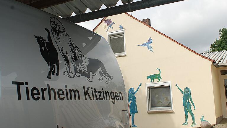 Die Zukunft des Kitzinger Tierheims ist nach wie vor völlig offen. Archiv-