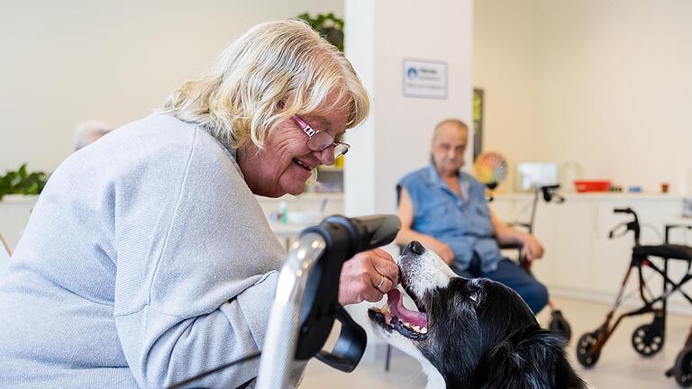 Therapiehund       -  Einem Therapiehund ein Leckerli zu geben, erfordert nicht nur Feinmotorik, sondern für manche auch Mut.